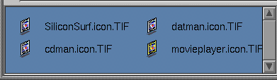 Figure 1-46 Example of Shelf With File Icons