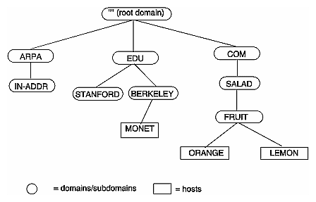 Named root cache