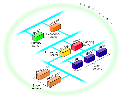 Named root cache