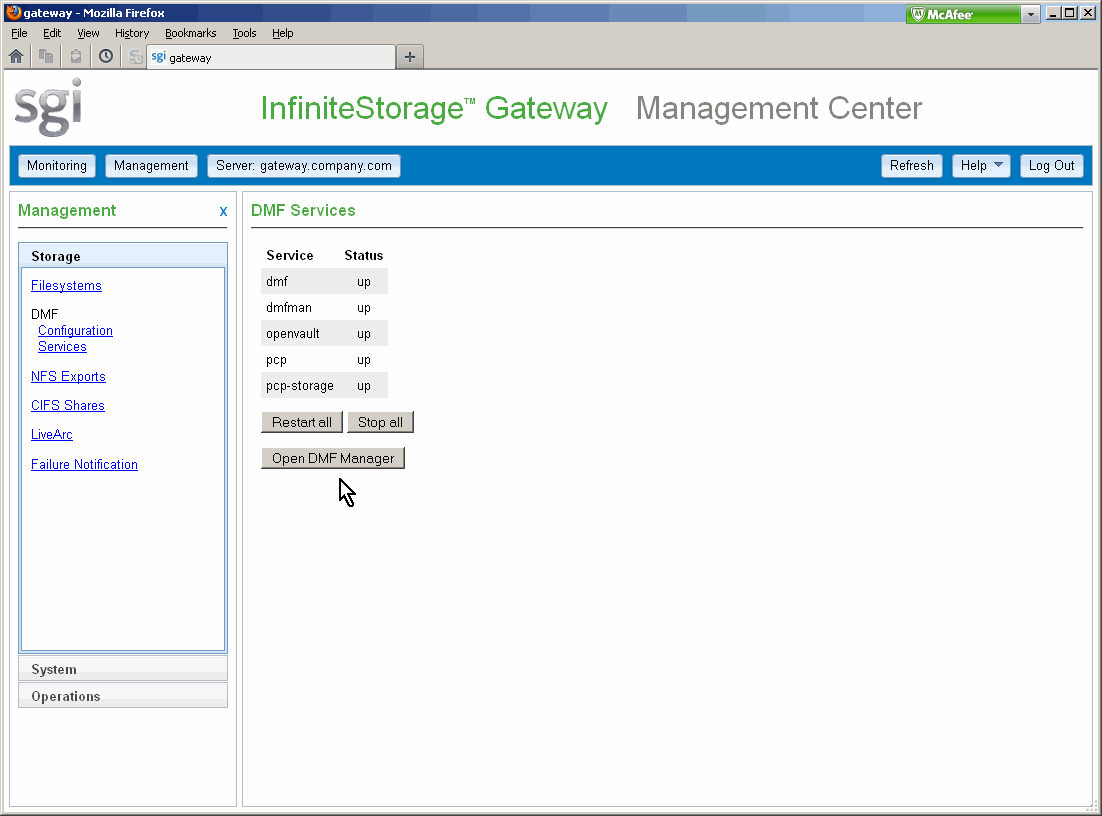 Accessing DMF Manager