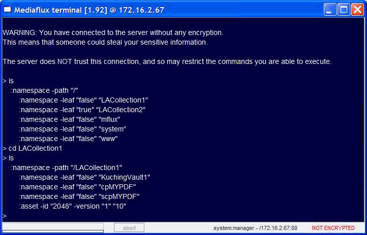 Listing Directory Contents and Navigating Directories
